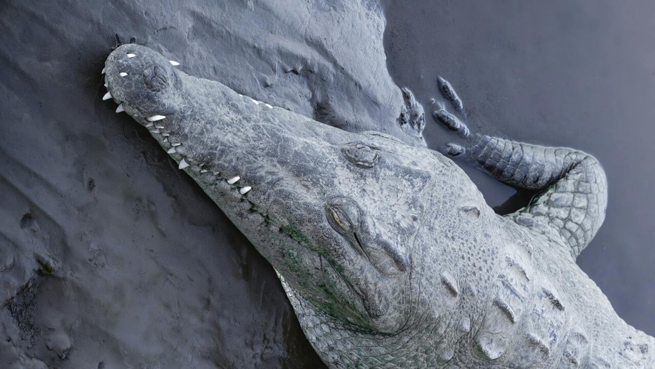 Trenggalek Punya 2 Makhluk Mitologi